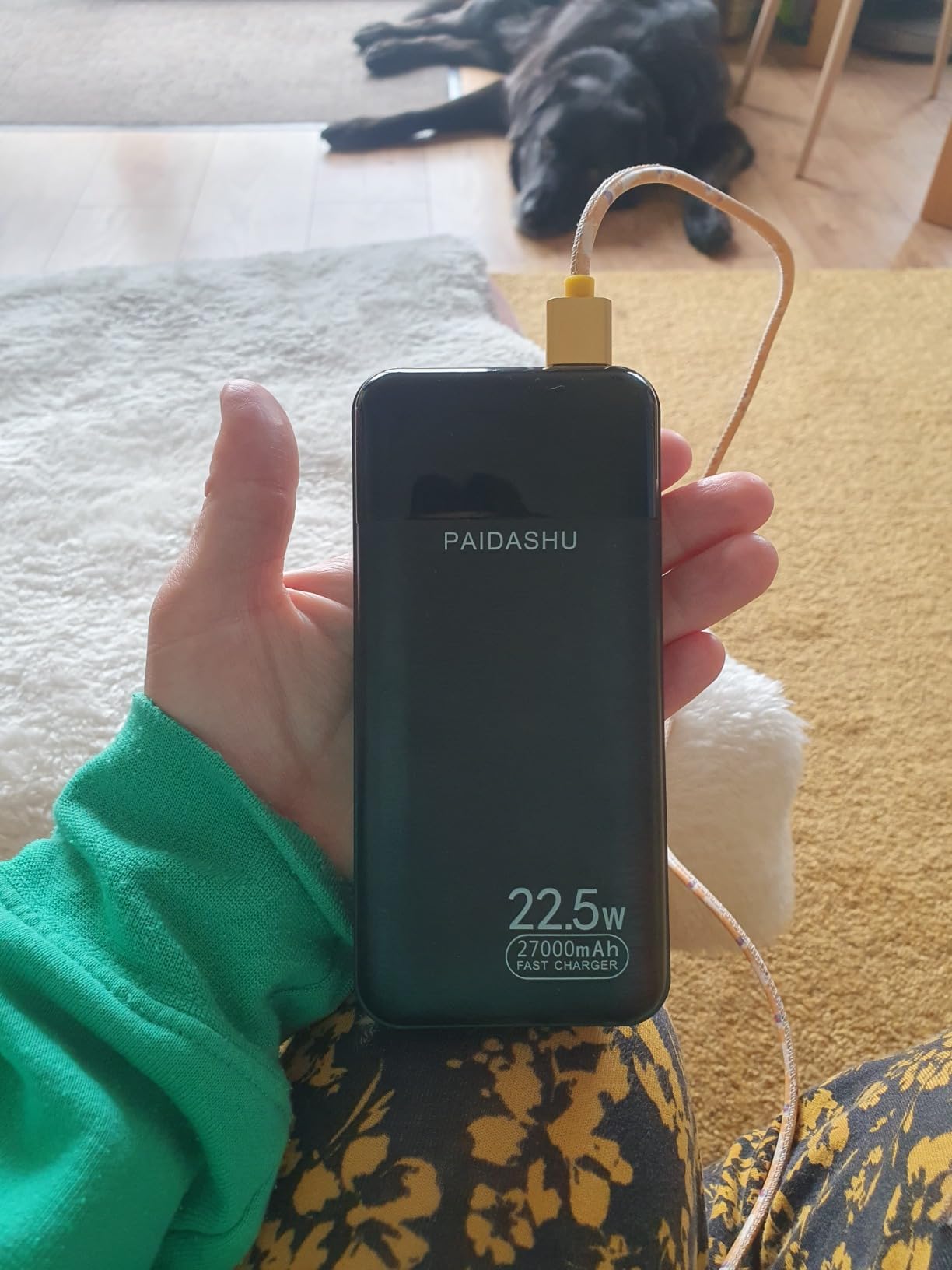 Paidashu 27,000mAh power bank customer review photo 2